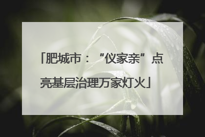 肥城市：“仪家亲”点亮基层治理万家灯火