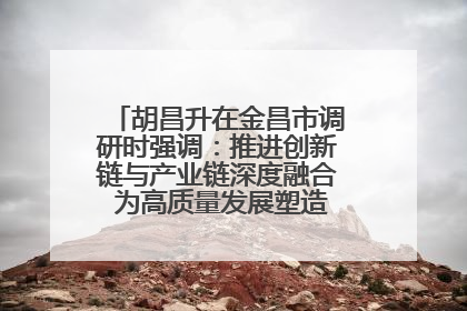 胡昌升在金昌市调研时强调：推进创新链与产业链深度融合 为高质量发展塑造新动能新优势