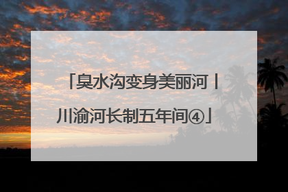 臭水沟变身美丽河丨川渝河长制五年间④