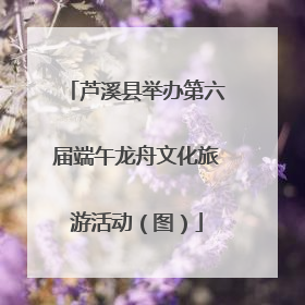 芦溪县举办第六届端午龙舟文化旅游活动（图）