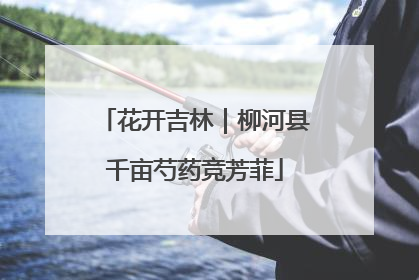 花开吉林｜柳河县千亩芍药竞芳菲