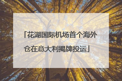 花湖国际机场首个海外仓在意大利揭牌投运