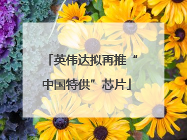 英伟达拟再推“中国特供”芯片