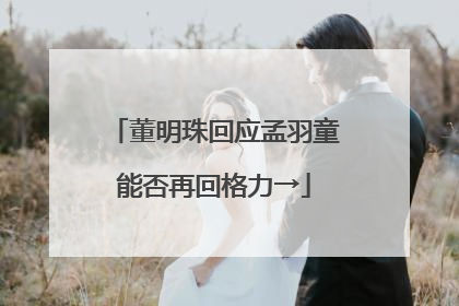 董明珠回应孟羽童能否再回格力→