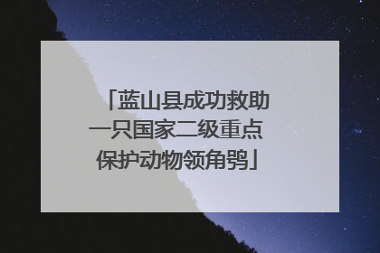 蓝山县成功救助一只国家二级重点保护动物领角鸮