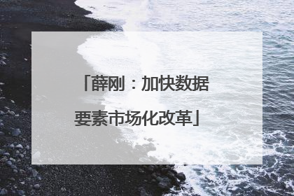 薛刚：加快数据要素市场化改革