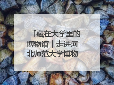 藏在大学里的博物馆｜走进河北师范大学博物馆天地科学馆：在校园里赴一场“宇宙之约”