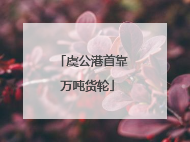 虞公港首靠万吨货轮