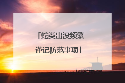 蛇类出没频繁 谨记防范事项