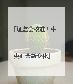证监会核准！中央汇金新变化