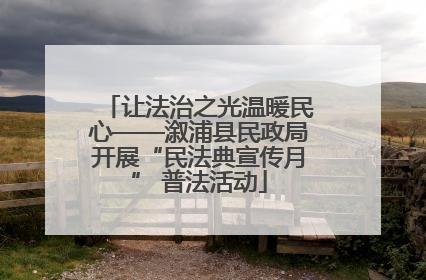 让法治之光温暖民心——溆浦县民政局开展“民法典宣传月” 普法活动