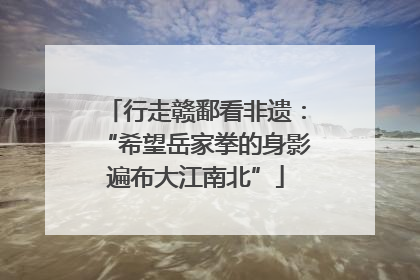 行走赣鄱看非遗：“希望岳家拳的身影遍布大江南北”