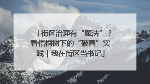 街区治理有“魔法”？看梧桐树下的“破圈”实践｜我在街区当书记