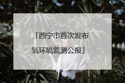 西宁市首次发布氧环境监测公报