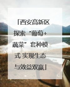 西安高新区探索“葡萄+蔬菜”套种模式 实现生态与效益双赢