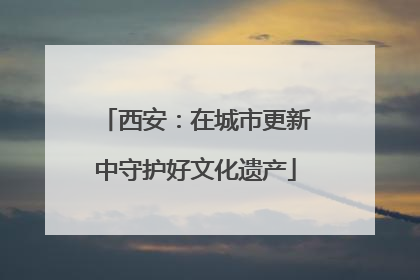 西安：在城市更新中守护好文化遗产