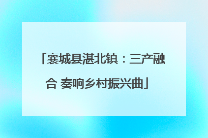 襄城县湛北镇：三产融合 奏响乡村振兴曲