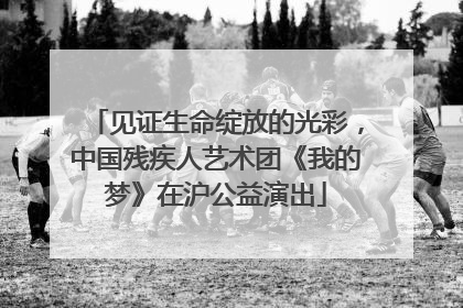 见证生命绽放的光彩，中国残疾人艺术团《我的梦》在沪公益演出