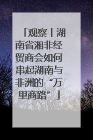 观察丨湖南省湘非经贸商会如何串起湖南与非洲的“万里商路”