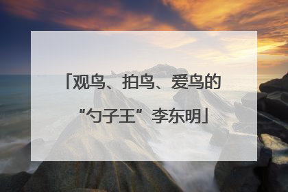 观鸟、拍鸟、爱鸟的“勺子王”李东明
