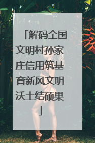 解码全国文明村孙家庄信用筑基育新风文明沃土结硕果
