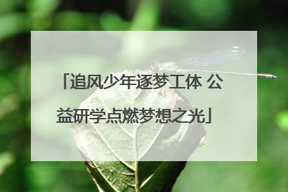 追风少年逐梦工体 公益研学点燃梦想之光