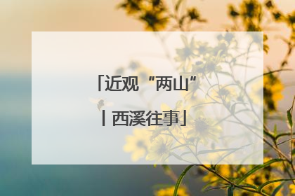 近观“两山”丨西溪往事