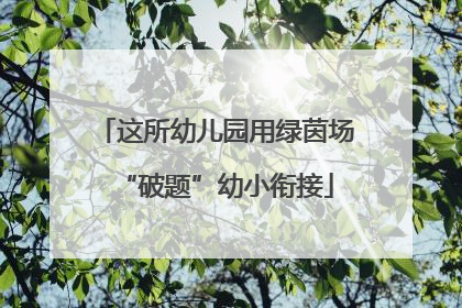 这所幼儿园用绿茵场“破题”幼小衔接