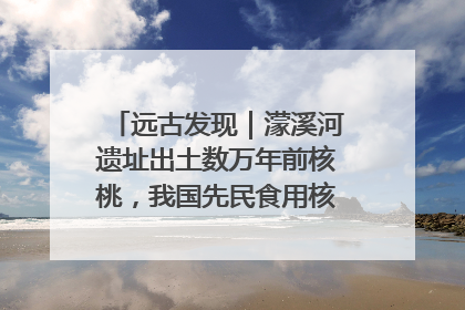 远古发现｜濛溪河遗址出土数万年前核桃，我国先民食用核桃历史大幅提前