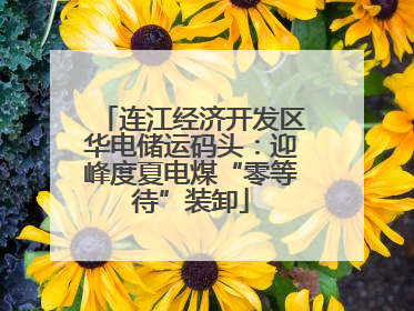 连江经济开发区华电储运码头：迎峰度夏电煤“零等待”装卸