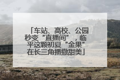 车站、高校、公园秒变“直播间”，临平这颗初夏“金果”在长三角播撒甜美
