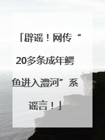 辟谣！网传“20多条成年鳄鱼进入澧河”系谣言！