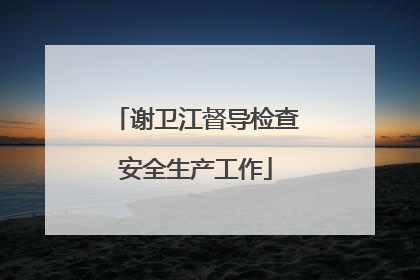 谢卫江督导检查安全生产工作