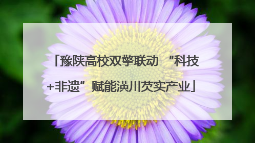 豫陕高校双擎联动 “科技+非遗”赋能潢川芡实产业