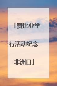 赞比亚举行活动纪念非洲日