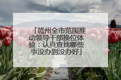 赣州全市范围推动领导干部换位体验：认真查找哪些事没办到没办好