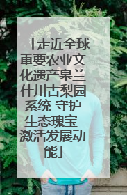 走近全球重要农业文化遗产皋兰什川古梨园系统 守护生态瑰宝 激活发展动能