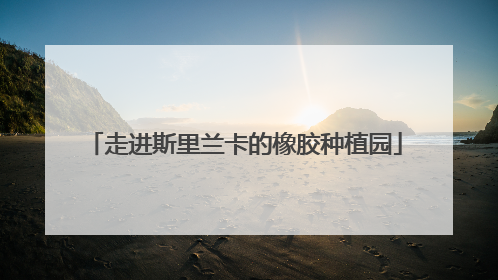 走进斯里兰卡的橡胶种植园
