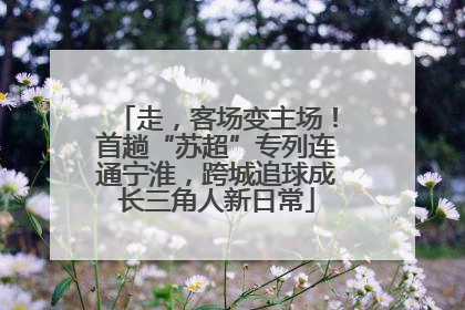 走，客场变主场！首趟“苏超”专列连通宁淮，跨城追球成长三角人新日常