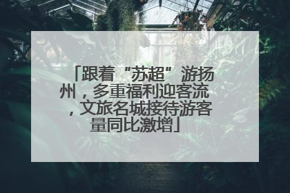 跟着“苏超”游扬州，多重福利迎客流，文旅名城接待游客量同比激增