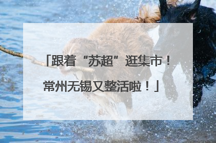 跟着“苏超”逛集市！常州无锡又整活啦！