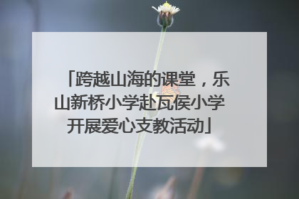 跨越山海的课堂，乐山新桥小学赴瓦侯小学开展爱心支教活动