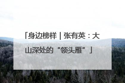 身边榜样｜张有英：大山深处的“领头雁”