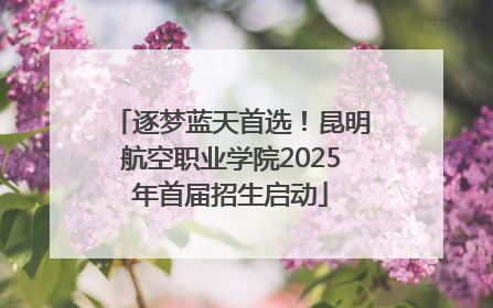 逐梦蓝天首选！昆明航空职业学院2025年首届招生启动