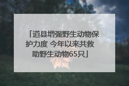 道县增强野生动物保护力度 今年以来共救助野生动物65只
