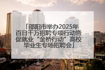 邵阳市举办2025年百日千万招聘专项行动暨促就业“金桥行动”高校毕业生专场招聘会