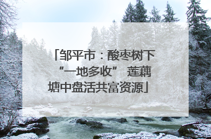 邹平市：酸枣树下“一地多收” 莲藕塘中盘活共富资源