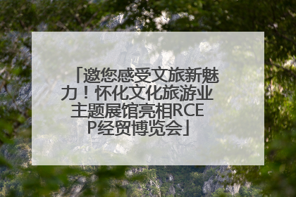 邀您感受文旅新魅力！怀化文化旅游业主题展馆亮相RCEP经贸博览会