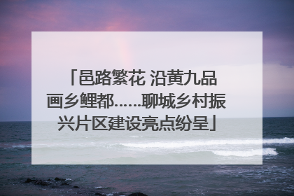 邑路繁花 沿黄九品 画乡鲤都……聊城乡村振兴片区建设亮点纷呈