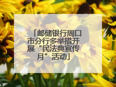 邮储银行周口市分行多举措开展“民法典宣传月”活动